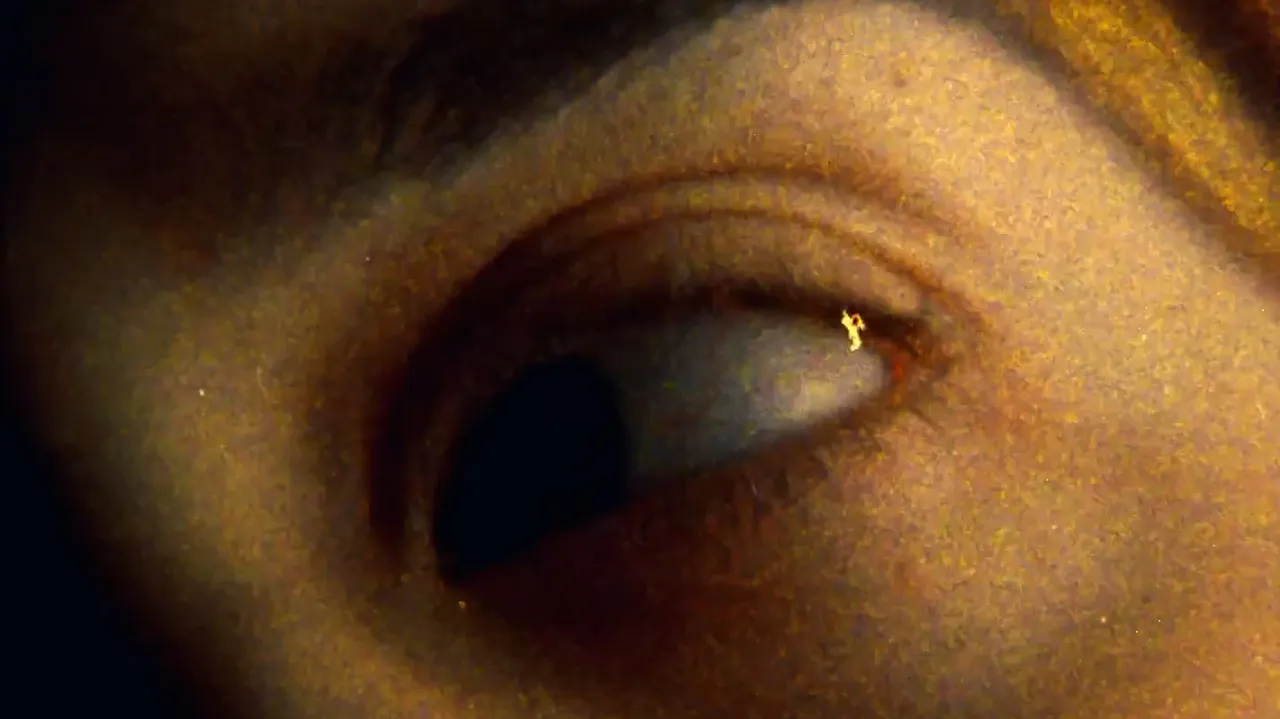 Secuencia 2 del proyecto Piel y Mar